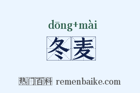 冬麦是什么意思的图片